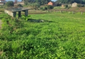 Terreny no urbanitzable en venda a la España, O Pazo de Meis, ref.: TR125603 foto