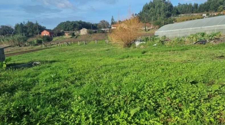 Pontevedra - Zacande - 1600m2