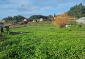 Terreny no urbanitzable en venda a la España, O Pazo de Meis, ref.: TR125603 foto