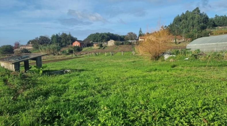 Pontevedra - Zacande - 1600m2