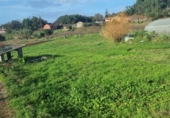 Terreny no urbanitzable en venda a la España, O Pazo de Meis, ref.: TR125603 foto