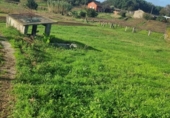 Terreny no urbanitzable en venda a la España, O Pazo de Meis, ref.: TR125603 foto