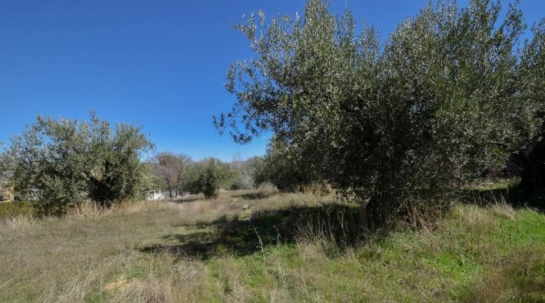 Granada - Villa de Otura - 3489m2