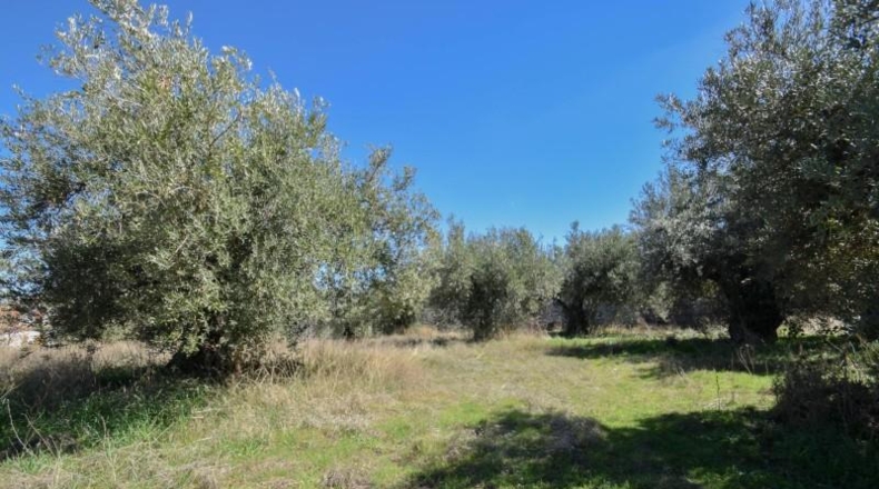 Granada - Villa de Otura - 3489m2