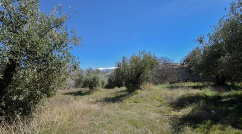 Granada - Villa de Otura - 3489m2