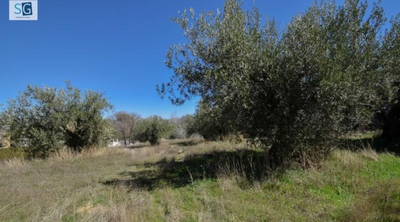 Granada - Villa de Otura - 305m2