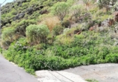 Sòl urbà en venda a la España, Santa Cruz de Tenerife, ref.: TR126751 foto