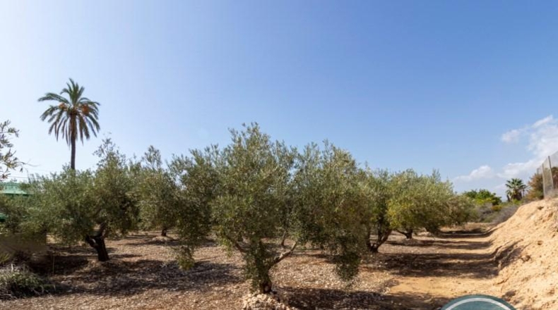Alicante - Crevillent - 2781m2
