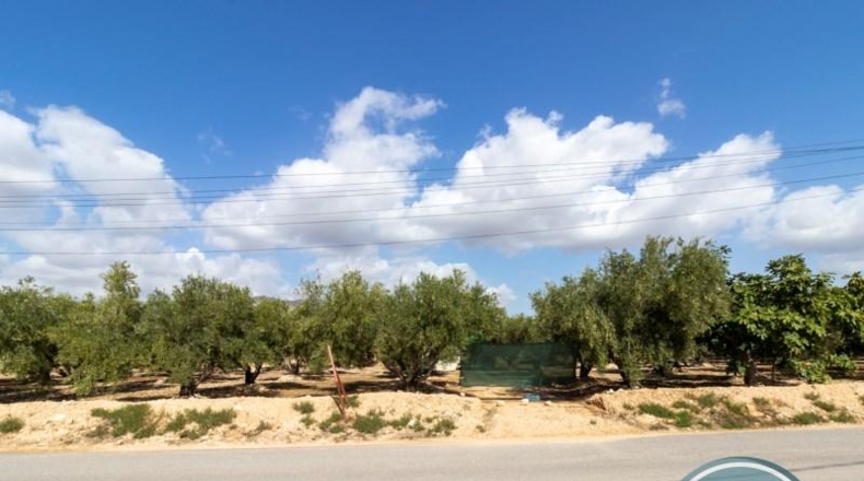 Alicante - Crevillent - 2781m2