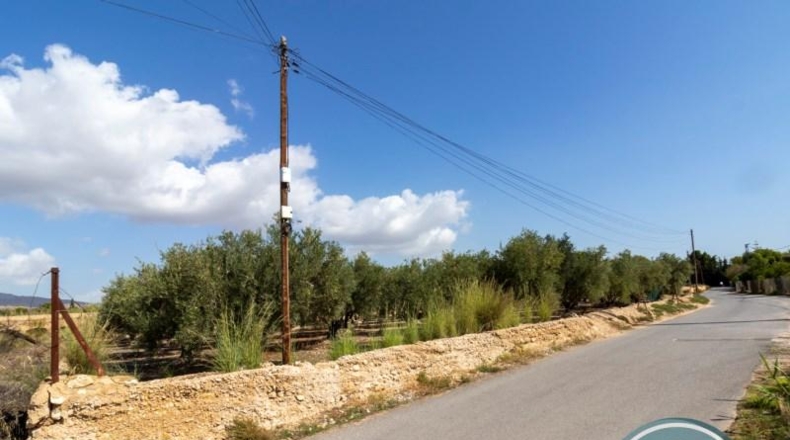 Alicante - Crevillent - 2781m2