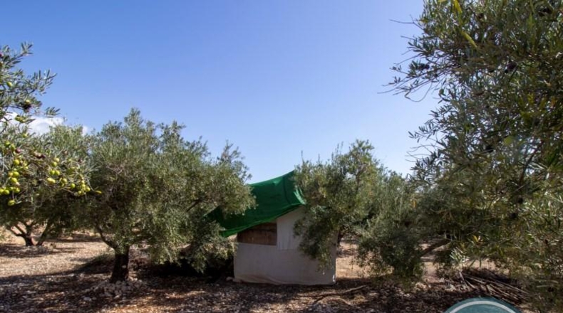 Alicante - Crevillent - 2781m2