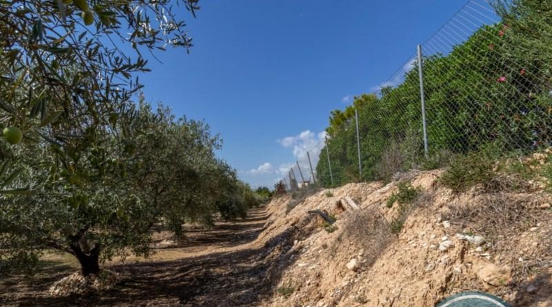 Alicante - Crevillent - 2781m2