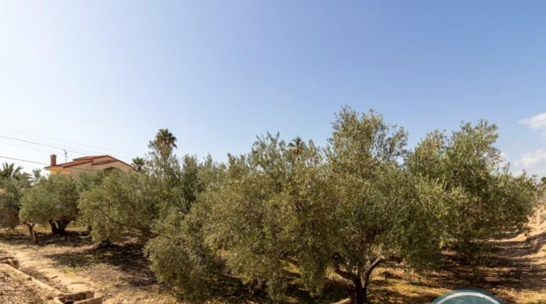 Alicante - Crevillent - 2781m2