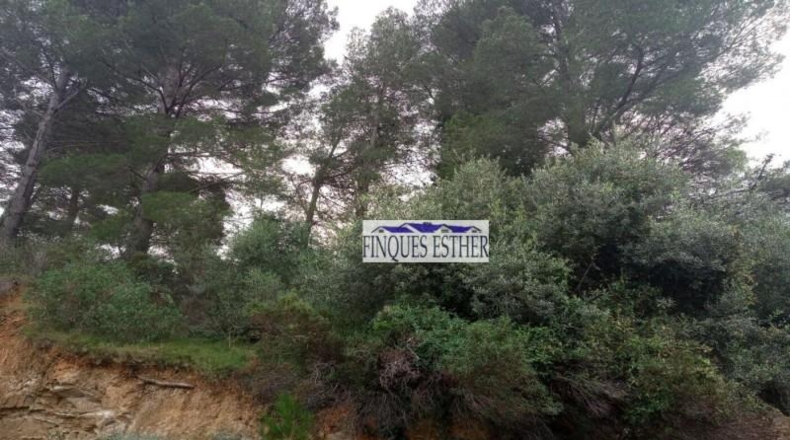 Tarragona - Riudecanyes - 793m2