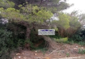 Sòl urbà en venda a la España, Riudecanyes, ref.: TR116467 foto