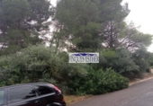 Sòl urbà en venda a la España, Riudecanyes, ref.: TR116467 foto
