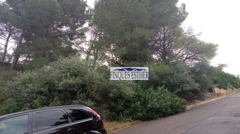 Tarragona - Riudecanyes - 793m2