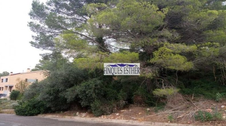 Tarragona - Riudecanyes - 793m2