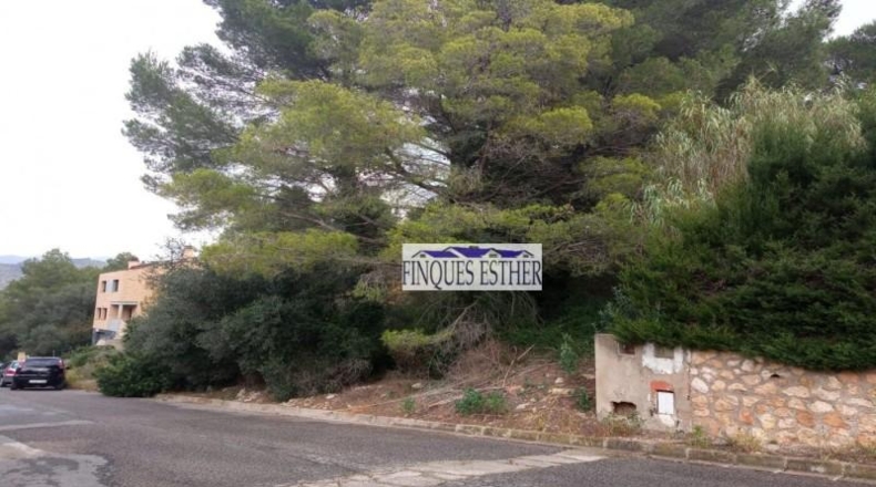 Tarragona - Riudecanyes - 793m2
