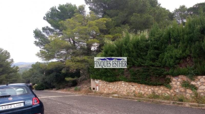 Tarragona - Riudecanyes - 793m2