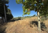 Land suitable for development for sale on España, Humanes, ref: TR312540 photo