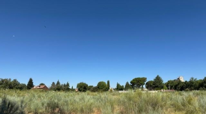 Guadalajara - Humanes - 2000m2