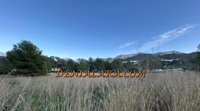 Alicante - Дения - 1550m2