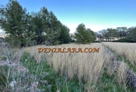 Dénia 1550&nbsp;m² 