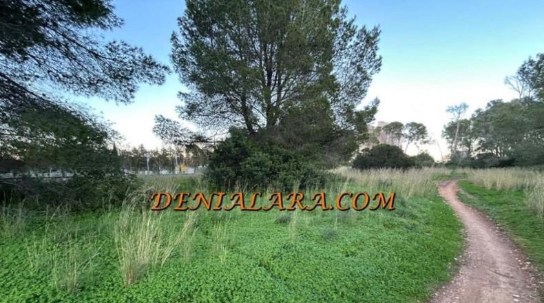 Alicante - Дения - 1550m2