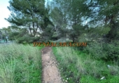 Terreny no urbanitzable en venda a la España, Dénia, ref.: TR372282 foto