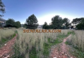 Terreny no urbanitzable en venda a la España, Dénia, ref.: TR372282 foto