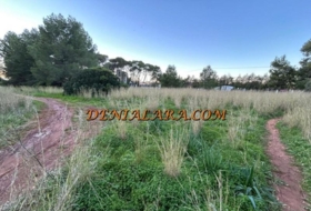 Dénia 1550&nbsp;m² 