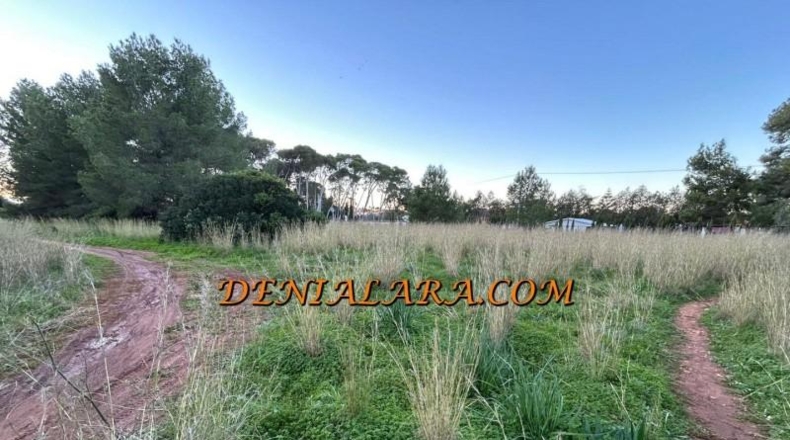 Alicante - Дения - 1550m2