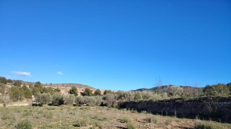 Alicante - Hondón de las Nieves - 7600m2