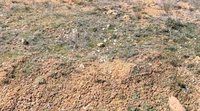 Guadalajara - Copernal - 551m2