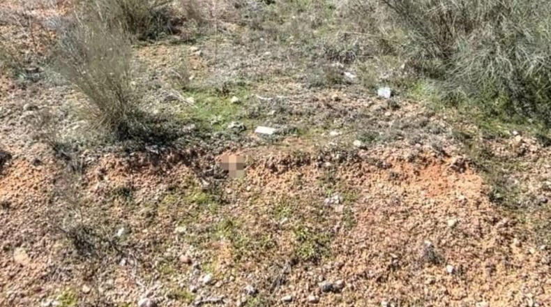 Guadalajara - Copernal - 551m2