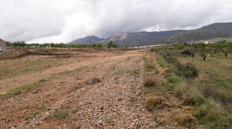 Alicante - Algueña - 18000m2