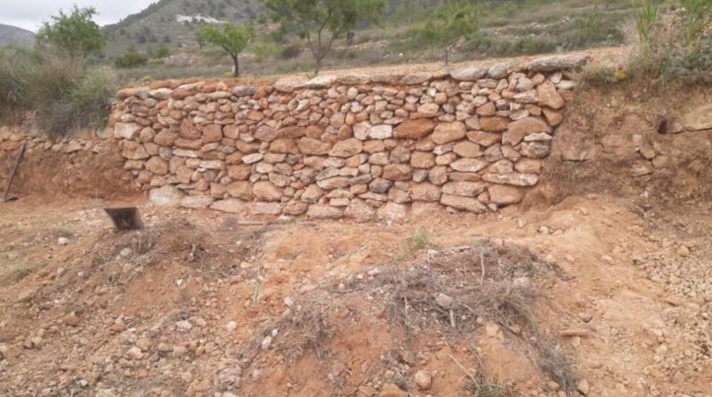 Alicante - Algueña - 18000m2