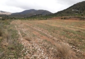 Casa de camp amb terreny en venda a la España, l'Alguenya, ref.: TR294393 foto