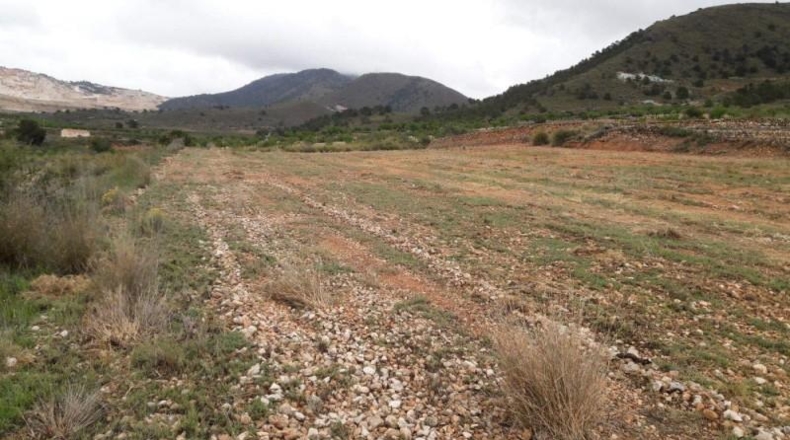Alicante - Algueña - 18000m2