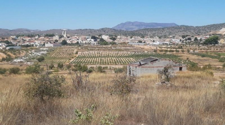 Alicante - Algueña - 18000m2
