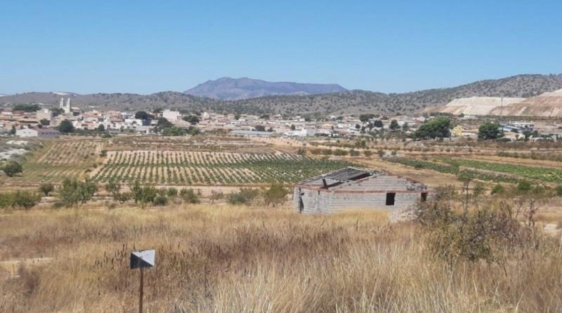 Alicante - Algueña - 18000m2