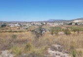 Casa de camp amb terreny en venda a la España, l'Alguenya, ref.: TR294393 foto