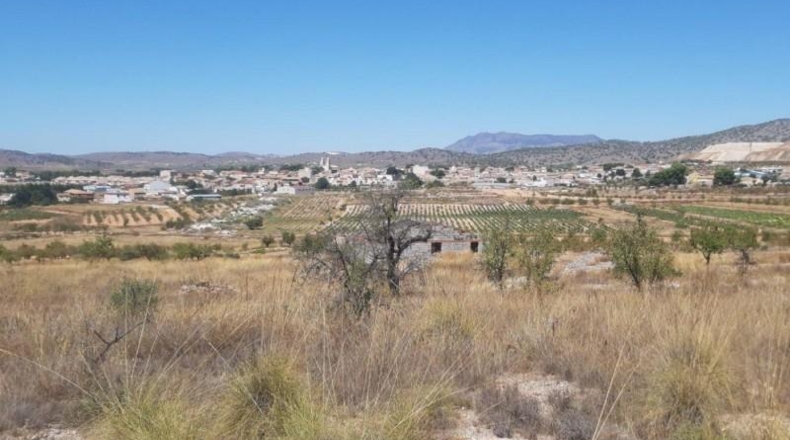 Alicante - Algueña - 18000m2