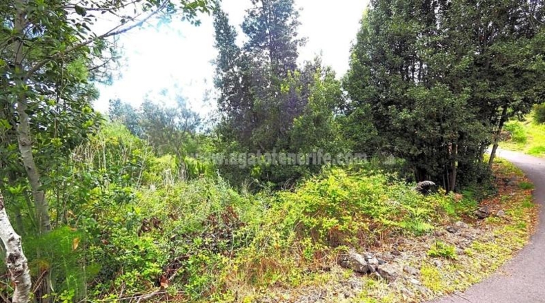 Santa Cruz de Tenerife - Icod de los Vinos - 2331m2