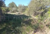 Parcel·la urbanitzable en venda a la España, el Vilar, ref.: TR130792 foto