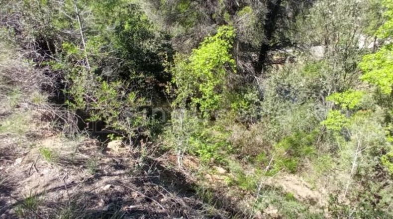 Barcelona - el Borràs - 918m2
