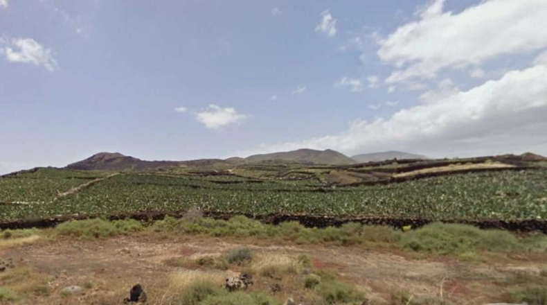 Las Palmas - Tahíche - 10200m2