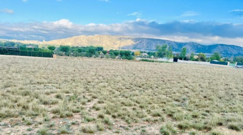 Alicante - Villena - 9000m2