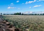 Terreny no urbanitzable en venda a la España, Villena, ref.: TR173569 foto